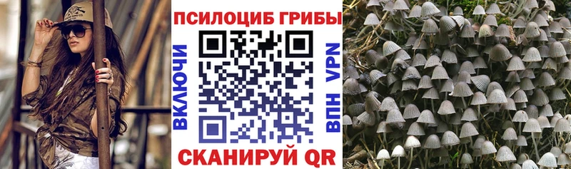blacksprut зеркало  купить   Весьегонск  Галлюциногенные грибы ЛСД 